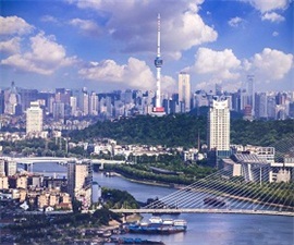 Wuhan Lear-DPCA Electric Co., Ltd.